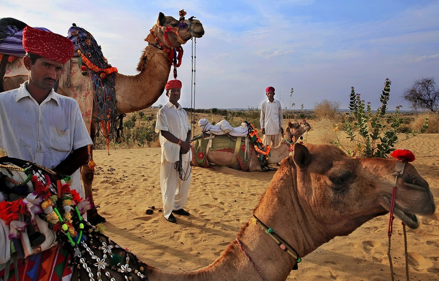 Circuit Rajasthan : l’Inde en Dilettante