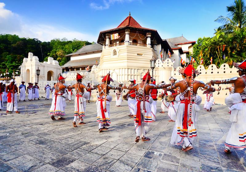 Circuit Sri Lanka : L’île resplendissante